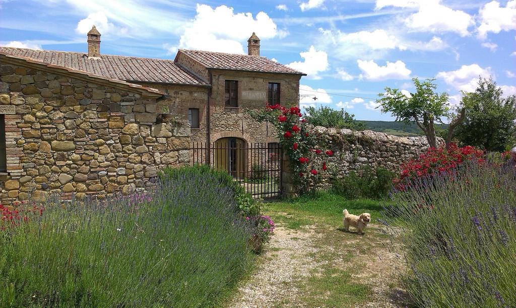Agriturismo Pianoia Pienza Extérieur photo